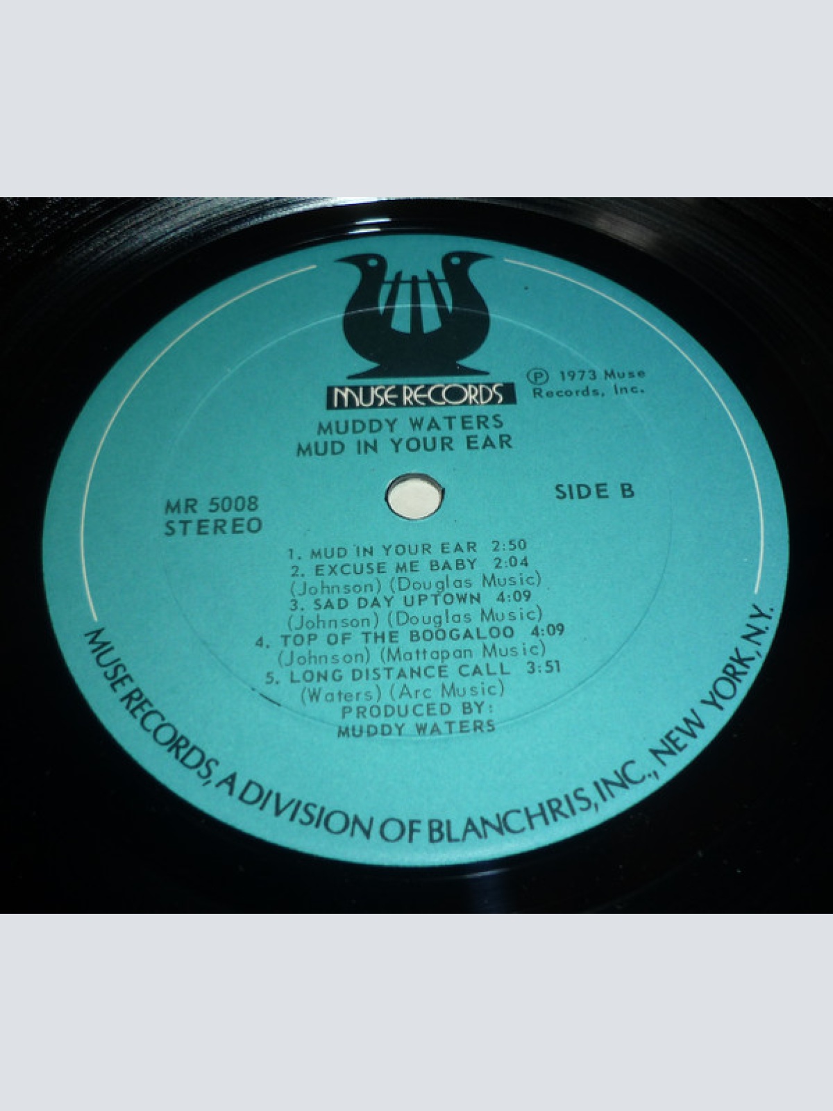 Vinyl / Muddy Waters - Mud In Your Ear