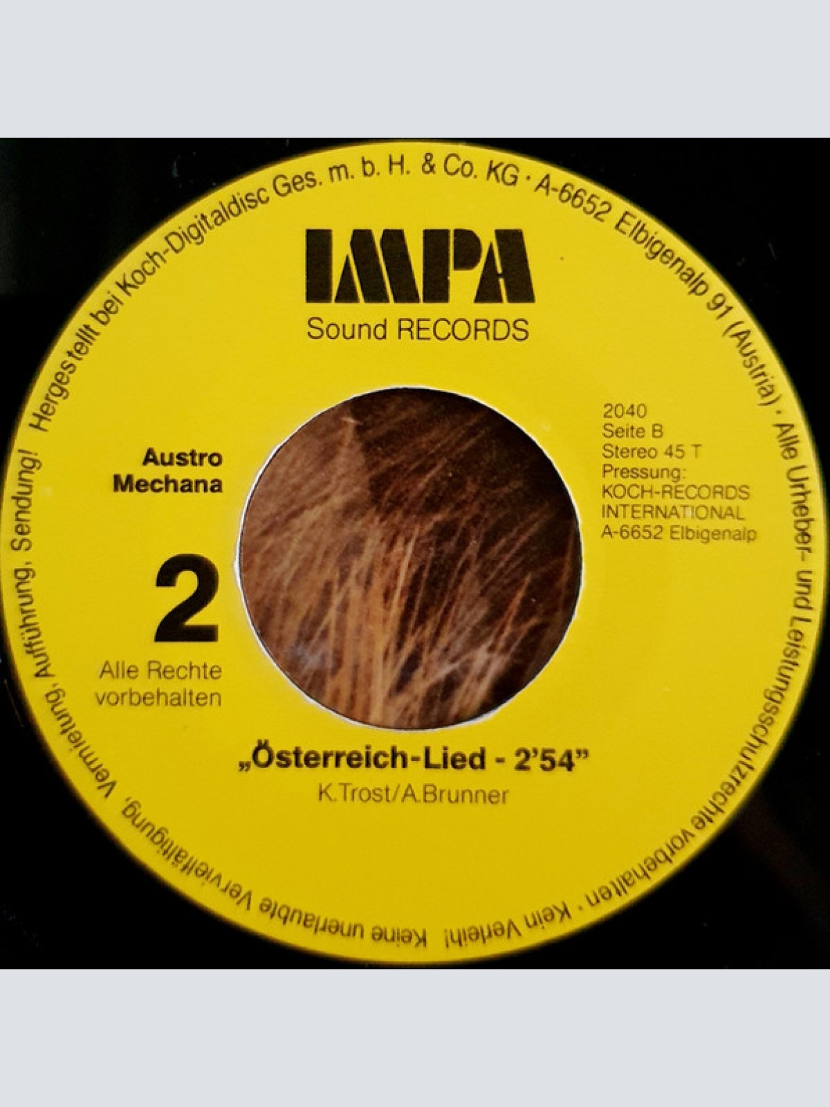 Vinyl / Orig. Lustige Wildkogler* - Lustige Wildkogler San Ma / Österreich - Lied