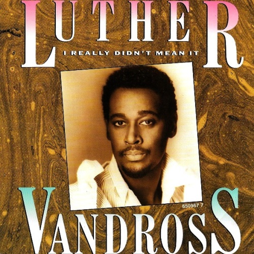 Vinyl / Luther Vandross - I Really Didn't Mean It