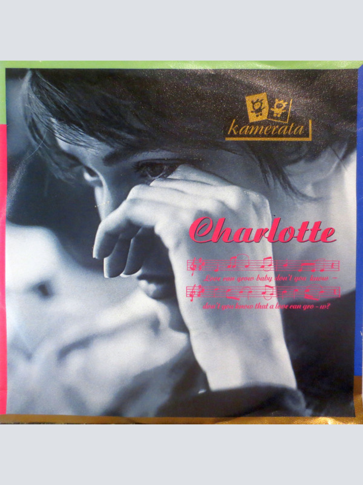 Vinyl / Kamerata - Charlotte