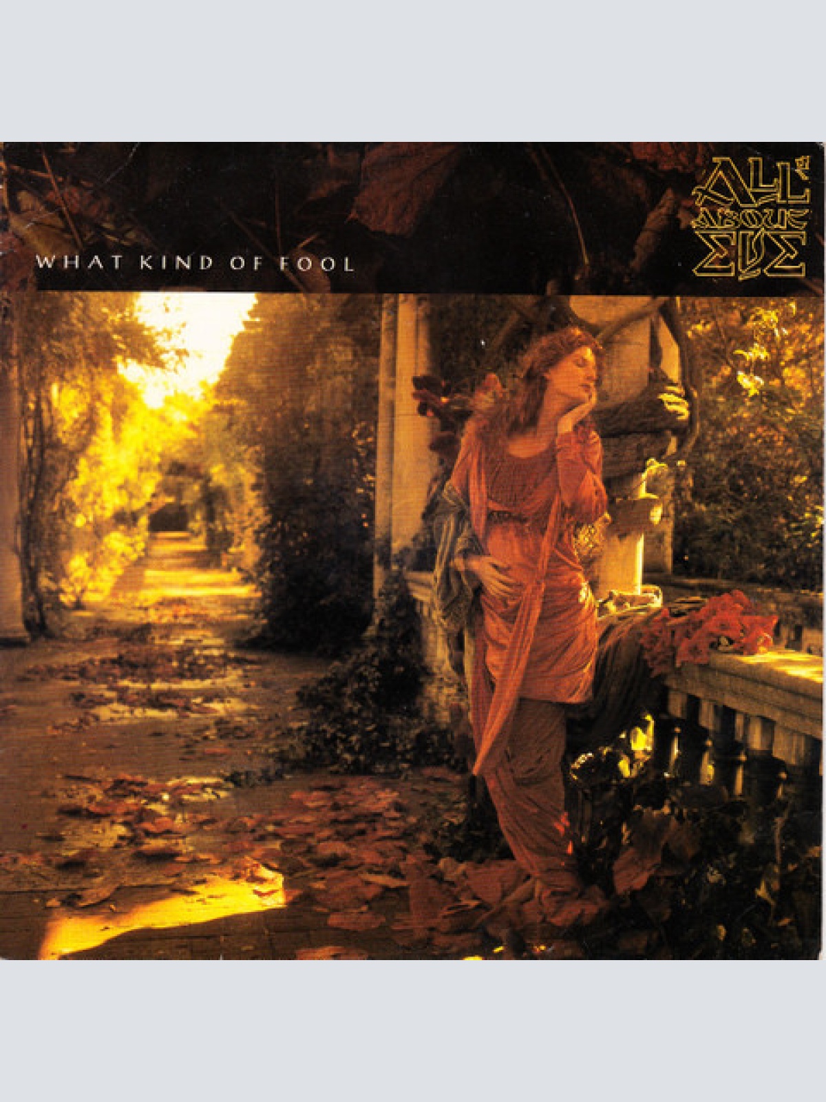 Vinyl / All About Eve - What Kind Of Fool