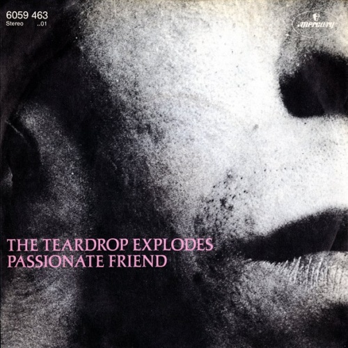 Vinyl / The Teardrop Explodes - Passionate Friend
