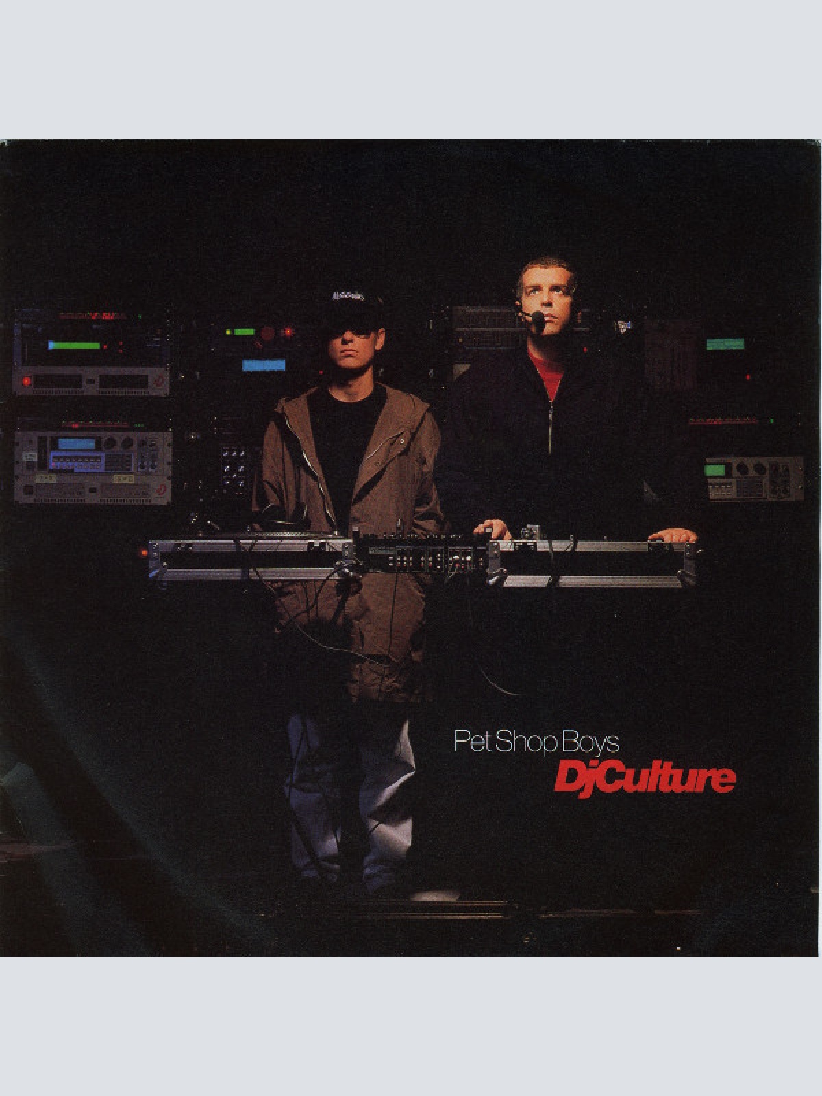 Vinyl / Pet Shop Boys - DJ Culture