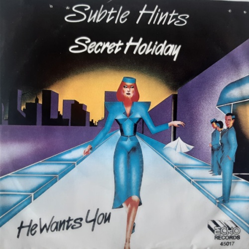 Vinyl / Subtle Hints - Secret Holiday