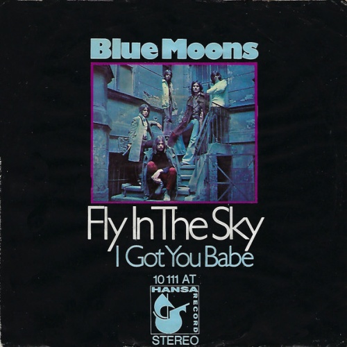 Vinyl / Blue Moons* - Fly In The Sky