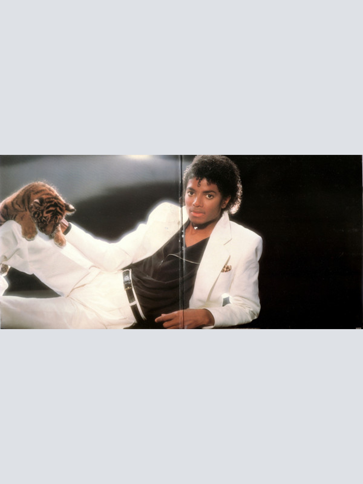 Vinyl / Michael Jackson - Thriller
