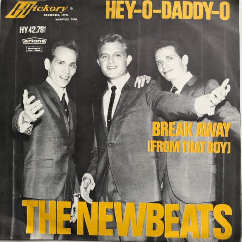 Vinyl / The Newbeats - Hey-O-Daddy-O / Break Away (From That Boy)