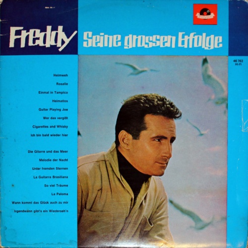 Vinyl / Freddy* - Seine Grossen Erfolge