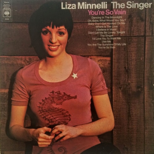 Vinyl / Liza Minnelli - The Singer