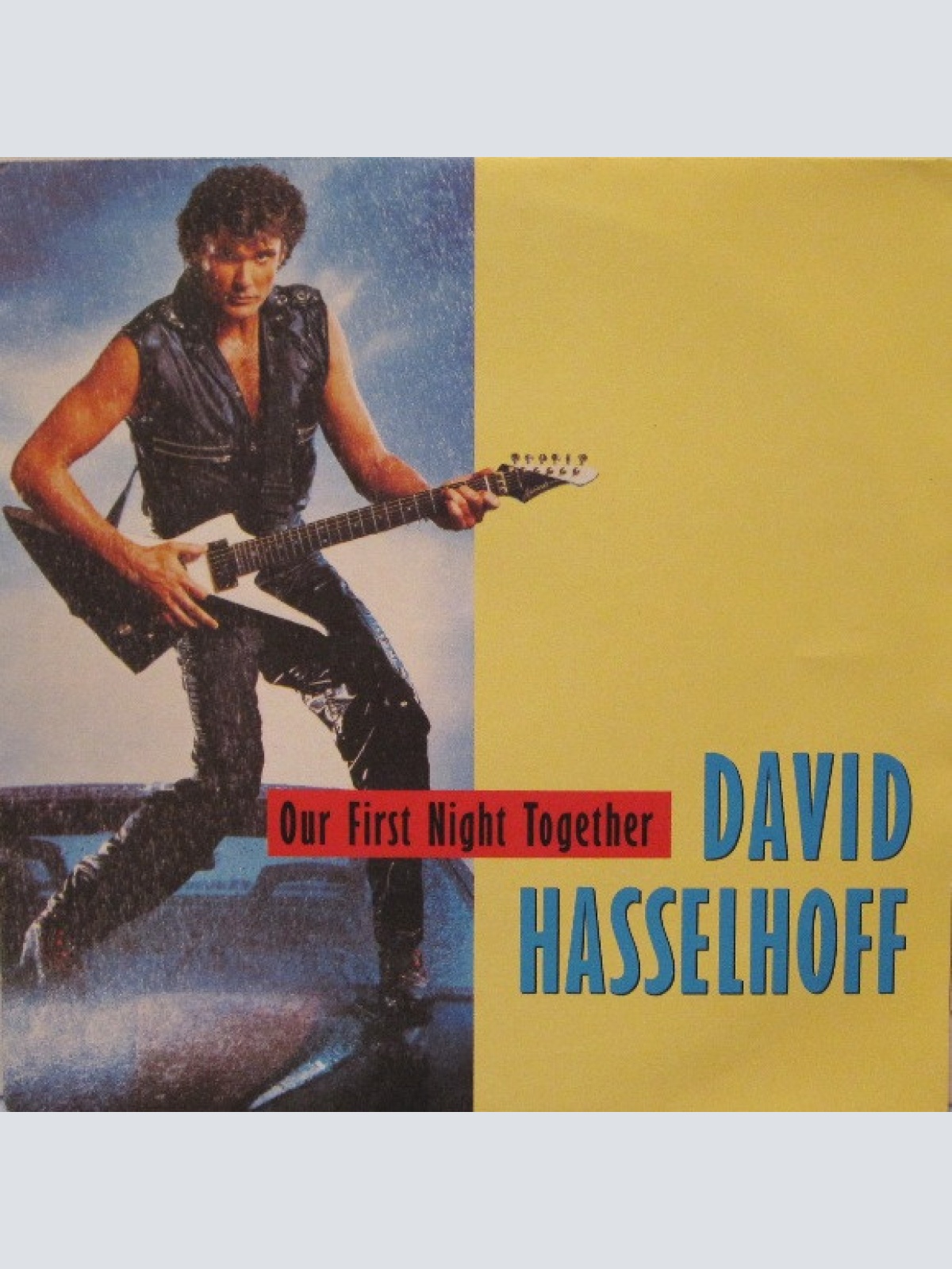 Vinyl / David Hasselhoff - Our First Night Together