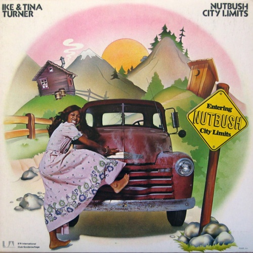 Vinyl / Ike & Tina Turner - Nutbush City Limits