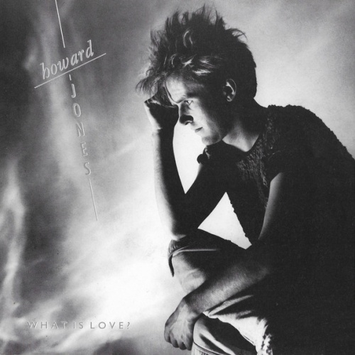 Vinyl / Howard Jones - What Is Love?