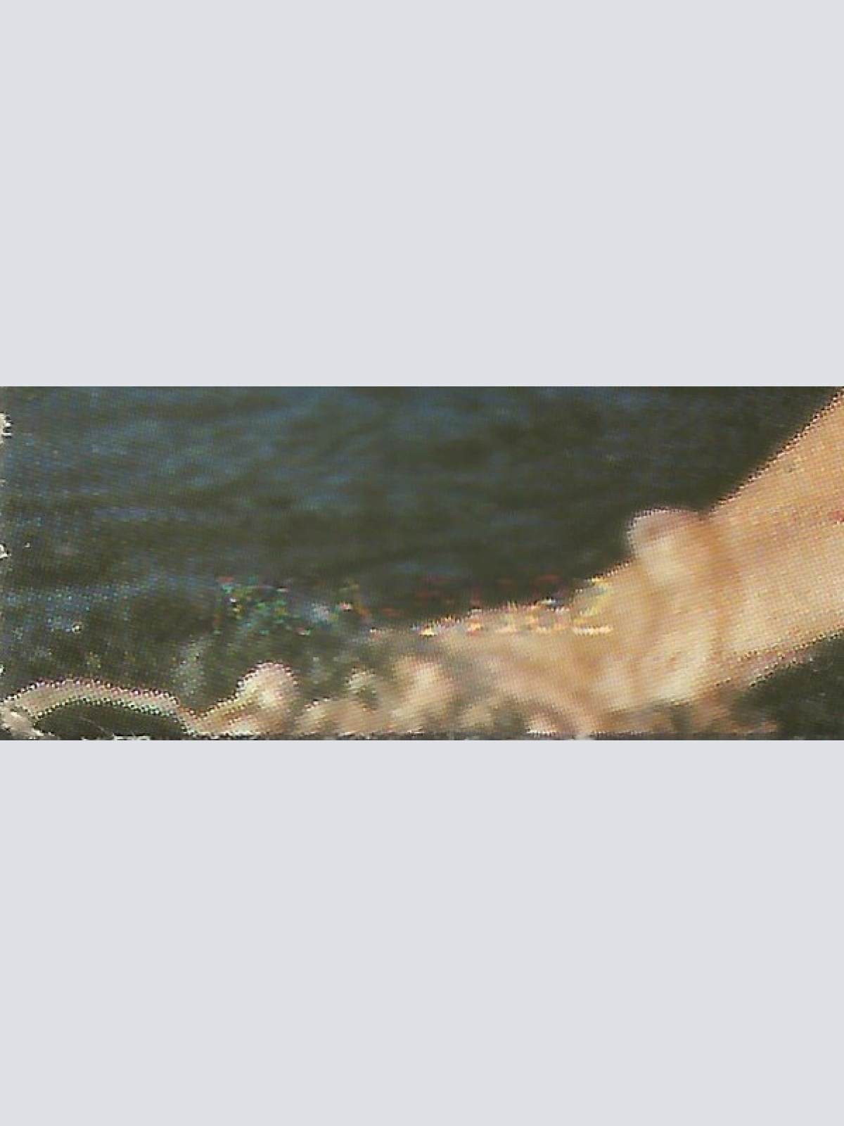 Vinyl / Olivia Newton-John - Physical