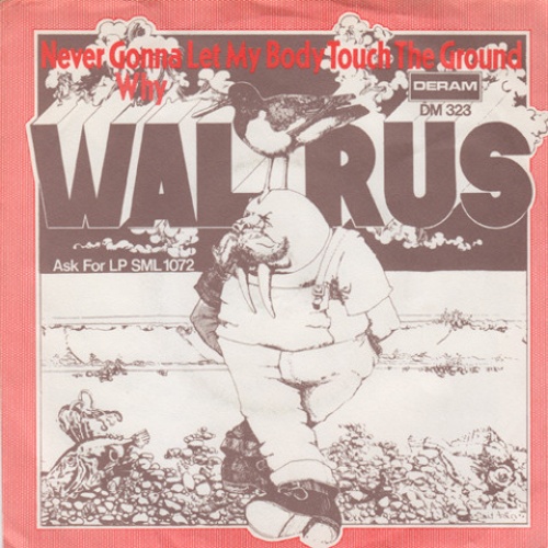 Vinyl / Walrus (4) - Never Gonna Let My Body Touch The Ground / Why
