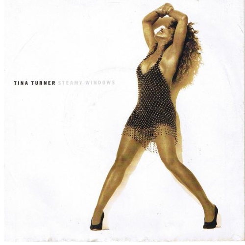 Vinyl / Tina Turner - Steamy Windows