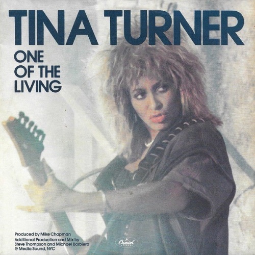 Vinyl / Tina Turner - One Of The Living