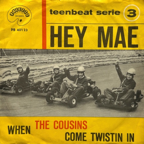 Vinyl / The Cousins - Hey Mae