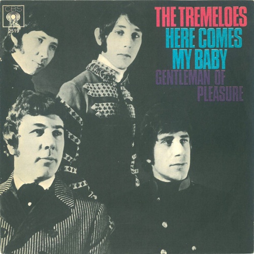 Vinyl / The Tremeloes - Here Comes My Baby
