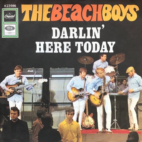 Vinyl / The Beach Boys - Darlin' / Here Today