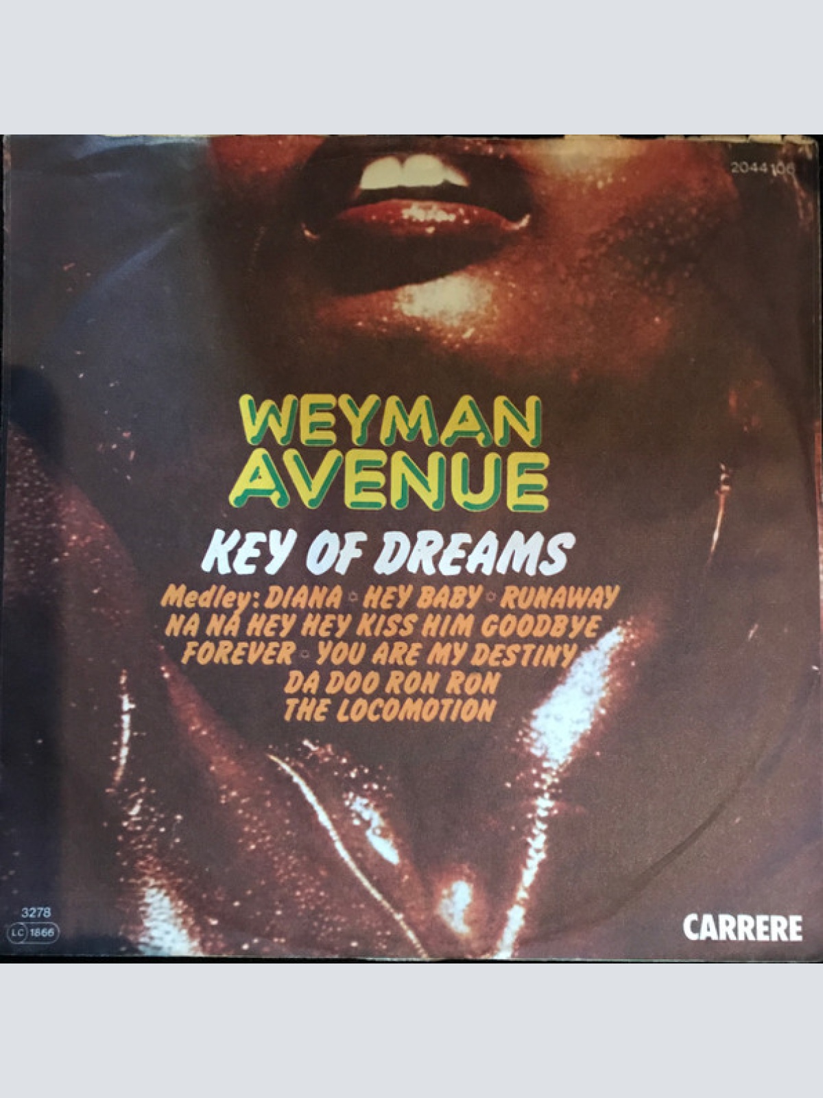 Vinyl / Weyman Avenue - Key Of Dreams