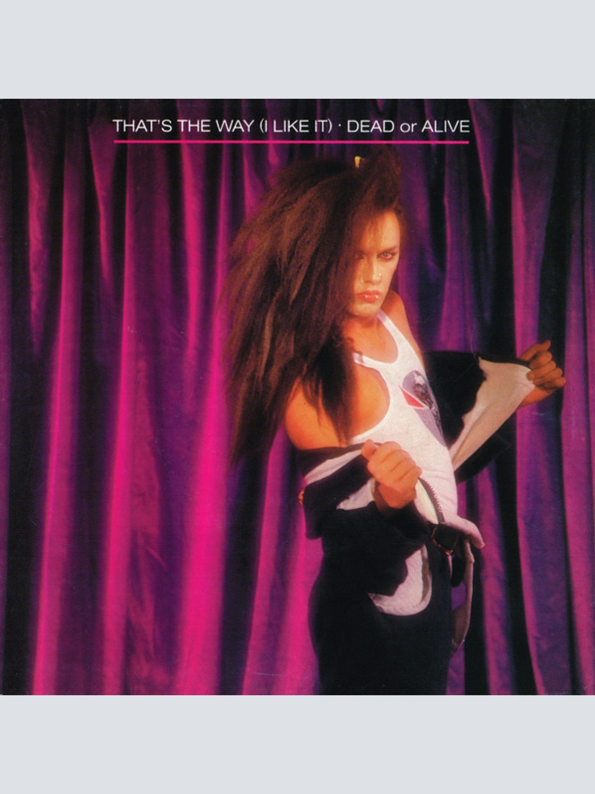 Vinyl / Dead Or Alive - That's The Way (I Like It)
