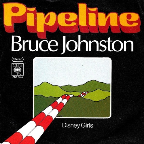Vinyl / Bruce Johnston - Pipeline