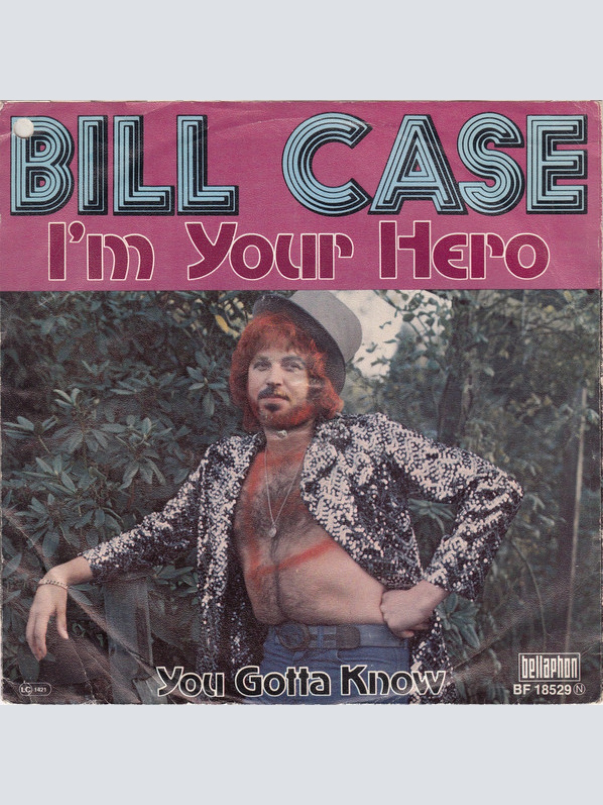 Vinyl / Bill Case (2) - I'm Your Hero