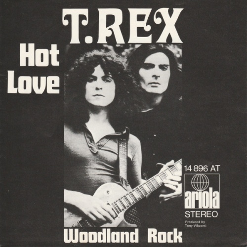 Vinyl / T. Rex - Hot Love