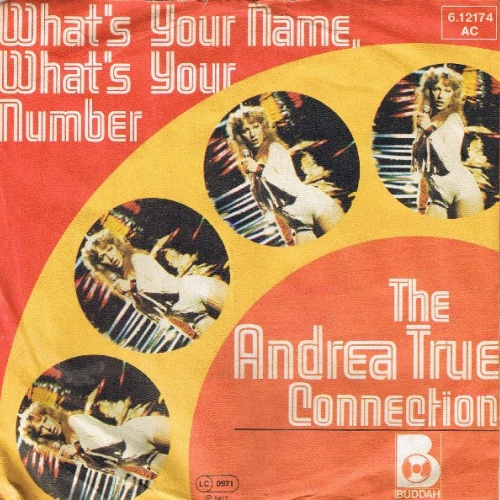 Vinyl / The Andrea True Connection* - What's Your Name, What's Your Number