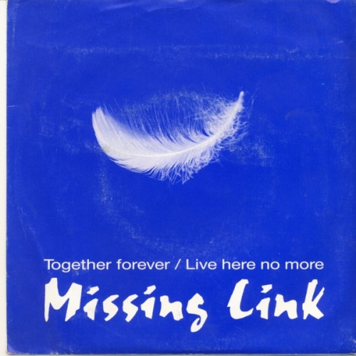 Vinyl / Missing Link (8) - Together Forever