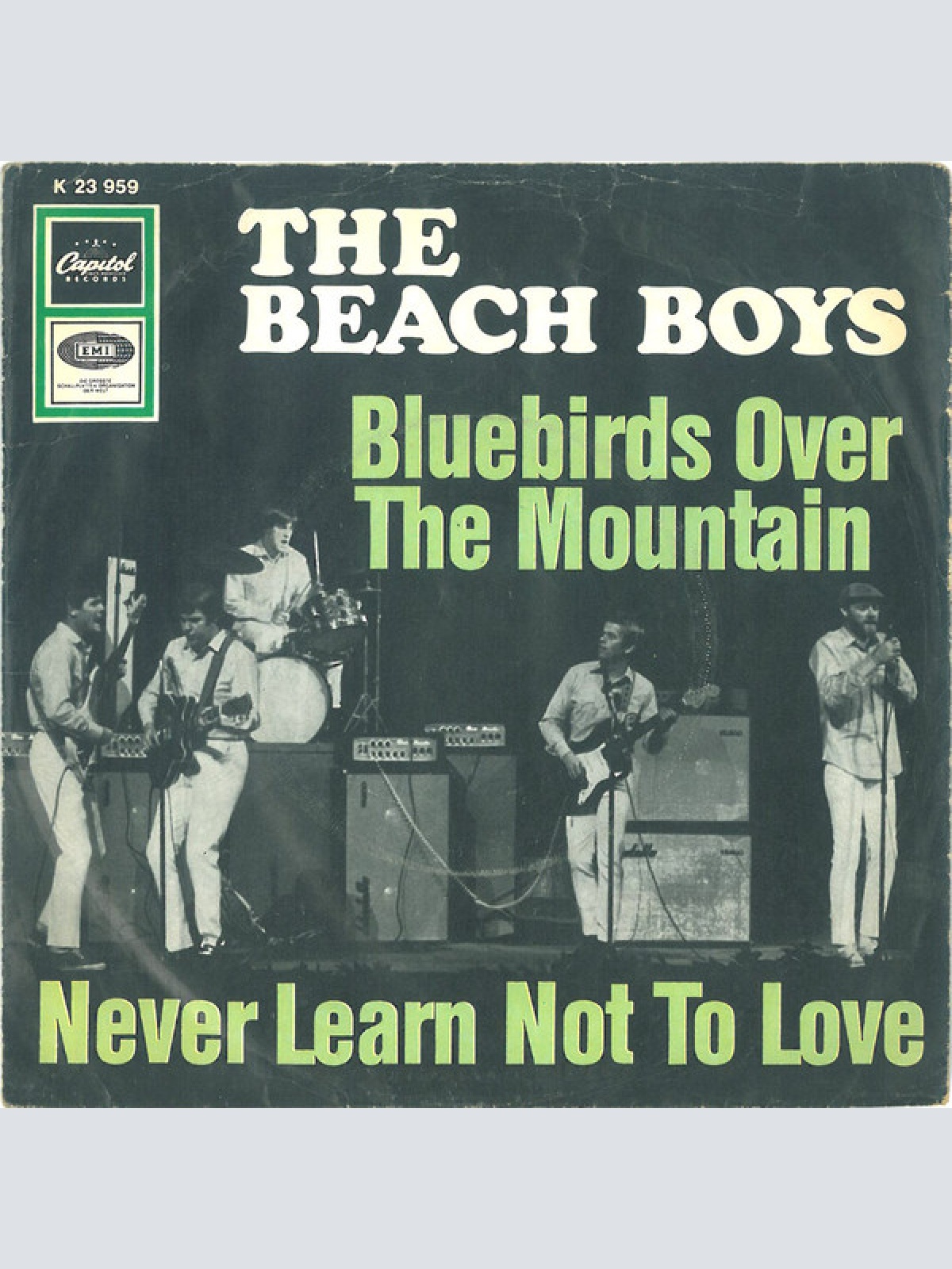 Vinyl / The Beach Boys - Bluebirds Over The Mountain / Never Learn Not To Love