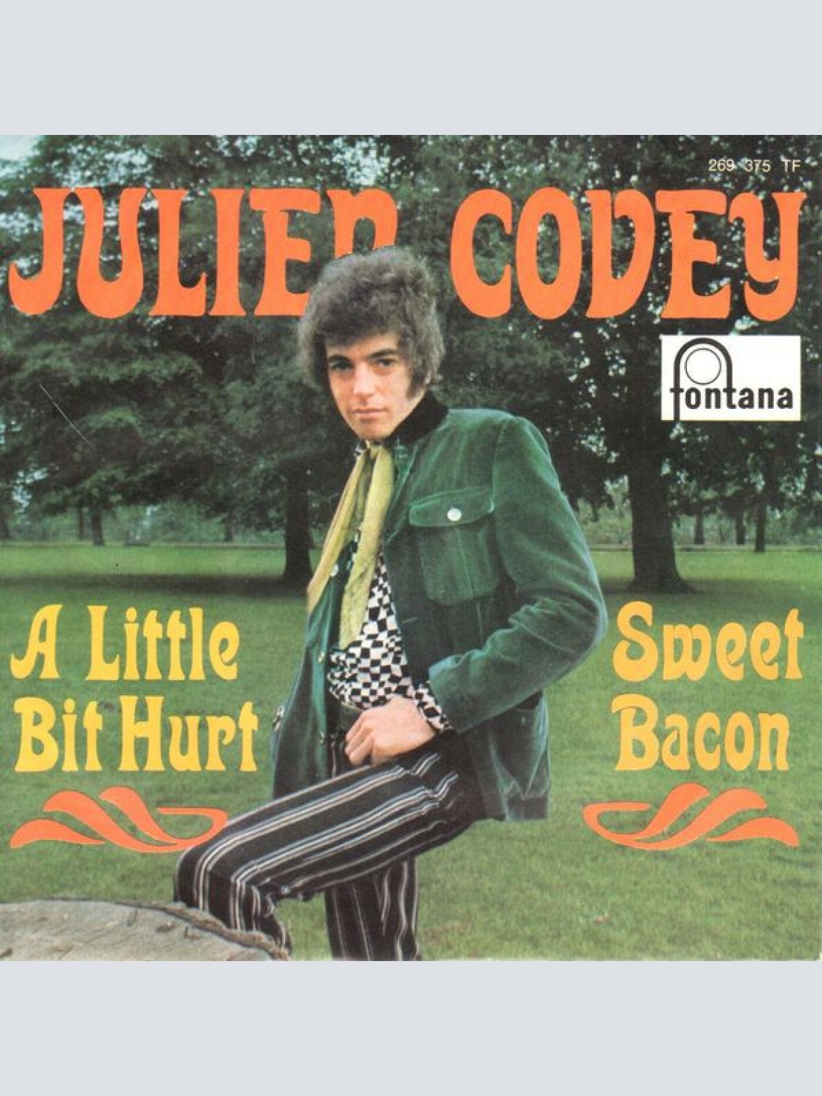 Vinyl / Julien Covey - A Little Bit Hurt