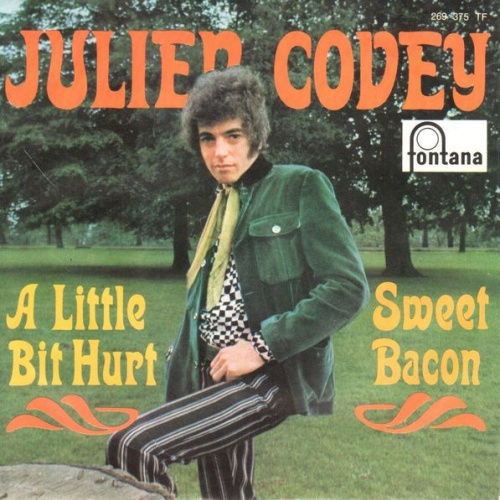 Vinyl / Julien Covey - A Little Bit Hurt