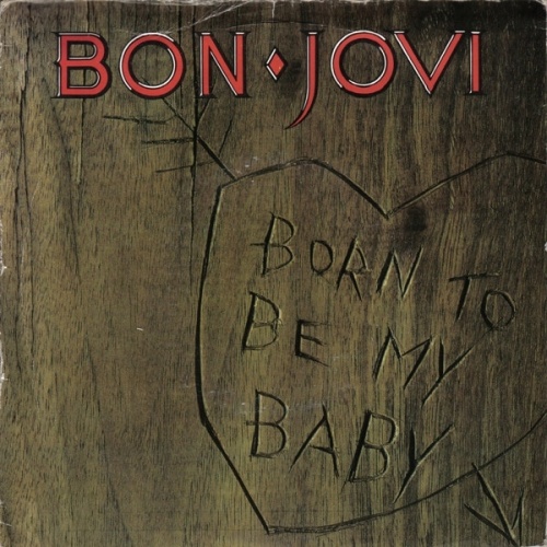 Vinyl / Bon Jovi - Born To Be My Baby