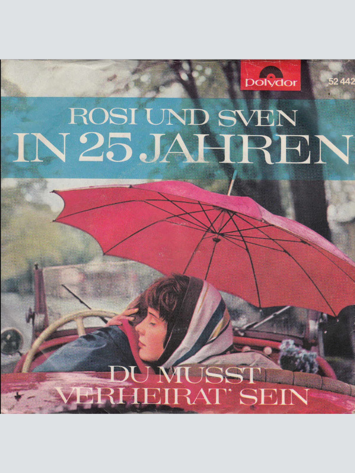 Vinyl / Rosi* Und Sven* - In 25 Jahren