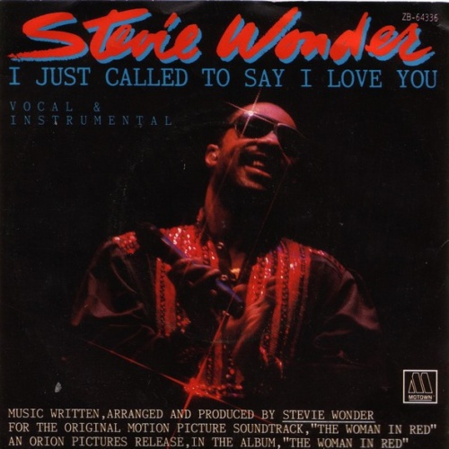 Vinyl / Stevie Wonder - I Just Called To Say I Love You