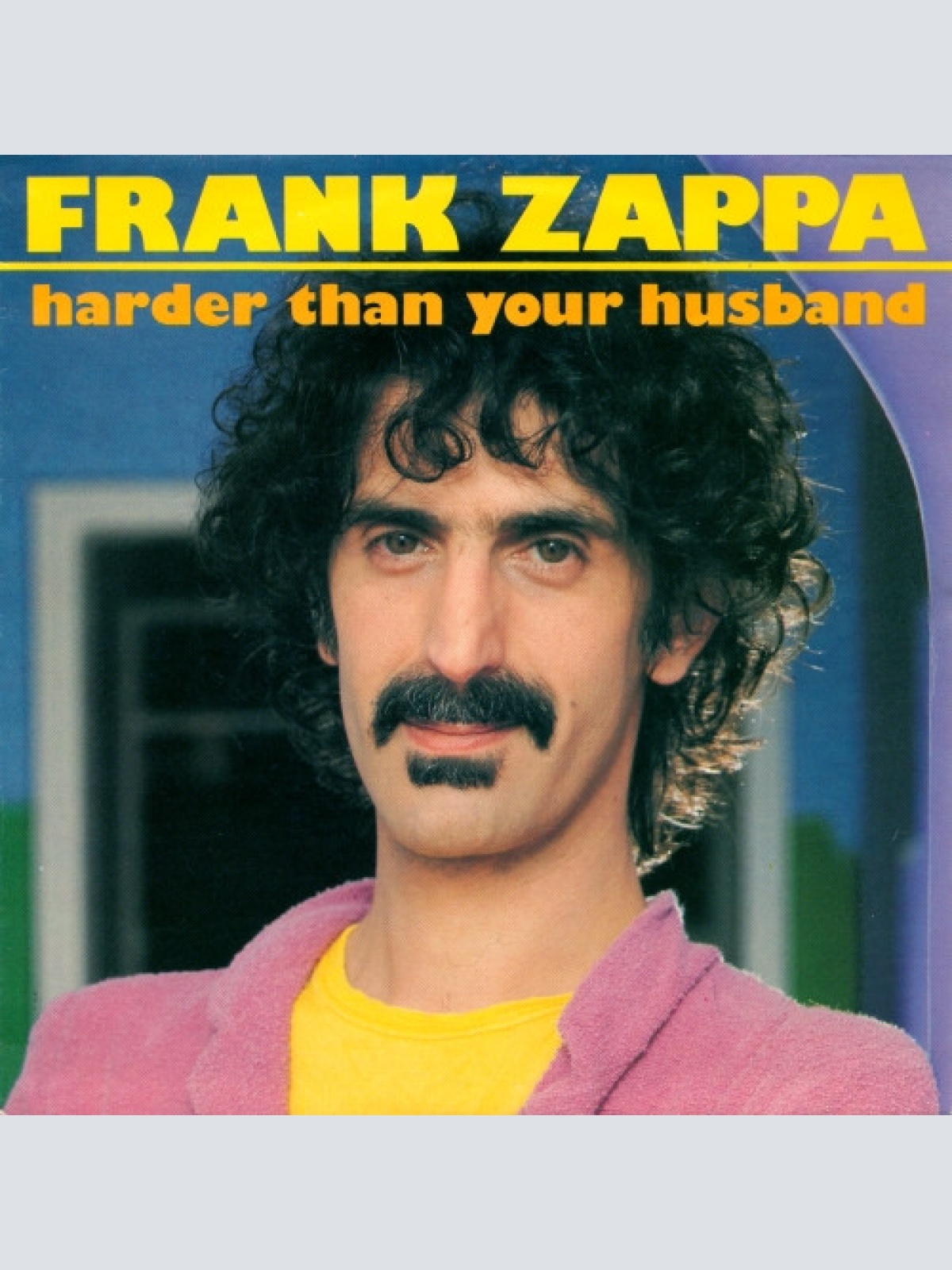 Vinyl / Frank Zappa - Harder Than Your Husband