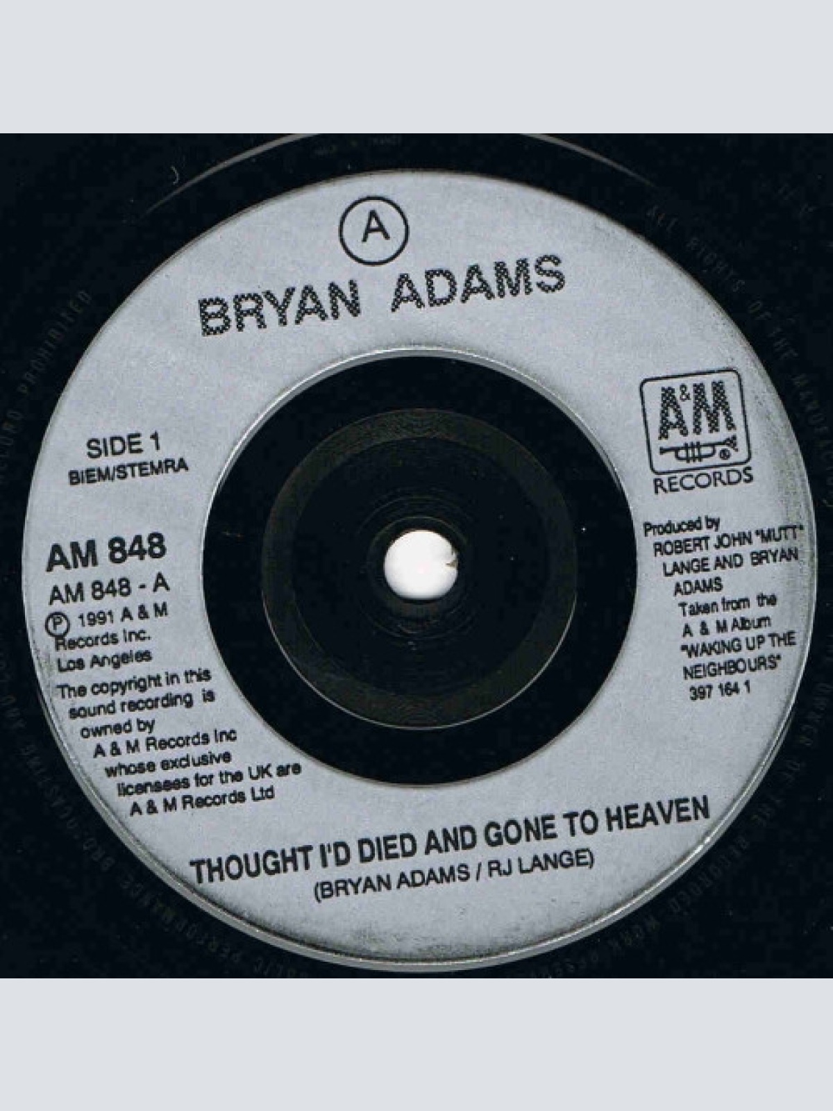 Vinyl / Bryan Adams - Thought I'd Died And Gone To Heaven