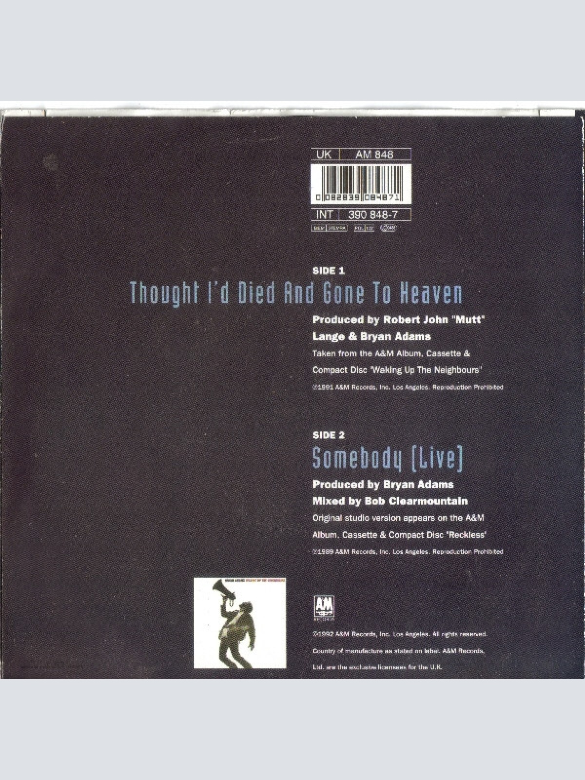 Vinyl / Bryan Adams - Thought I'd Died And Gone To Heaven