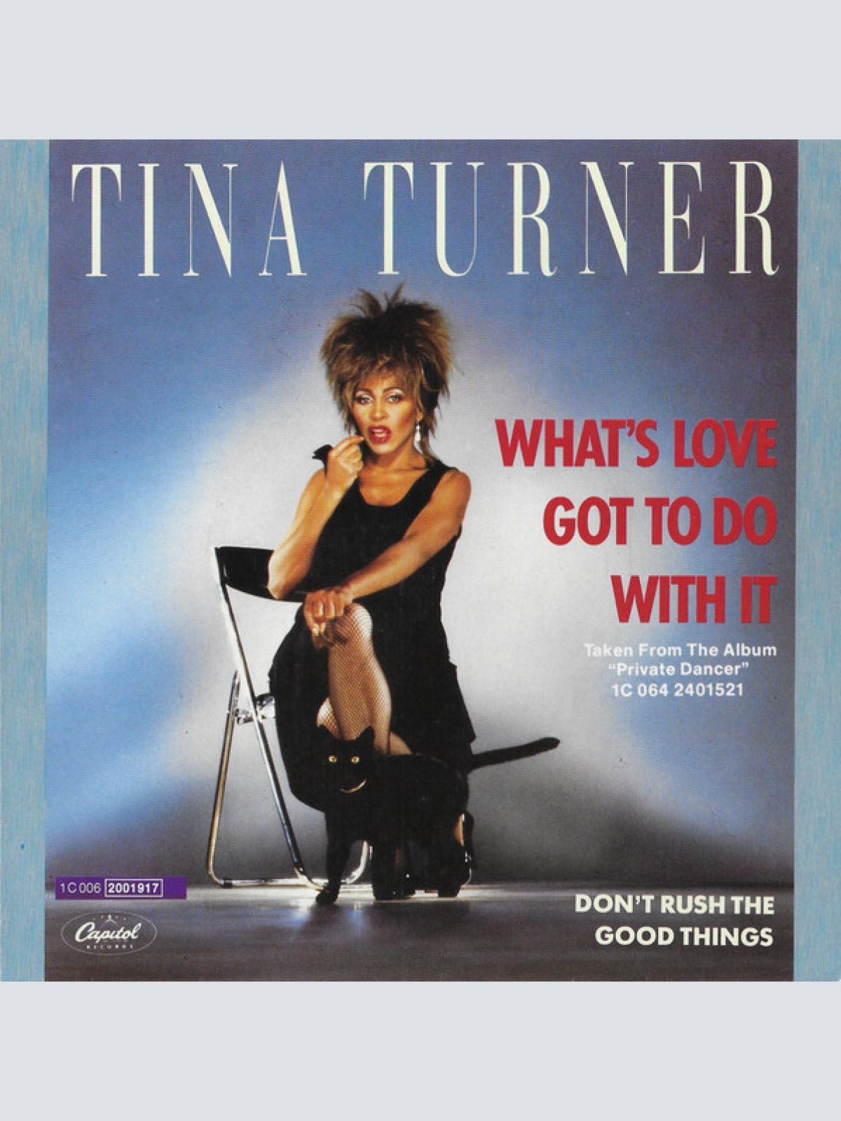 Vinyl / Tina Turner - What's Love Got To Do With It