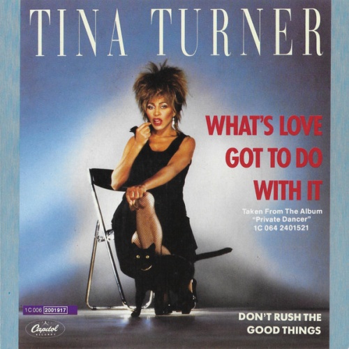 Vinyl / Tina Turner - What's Love Got To Do With It