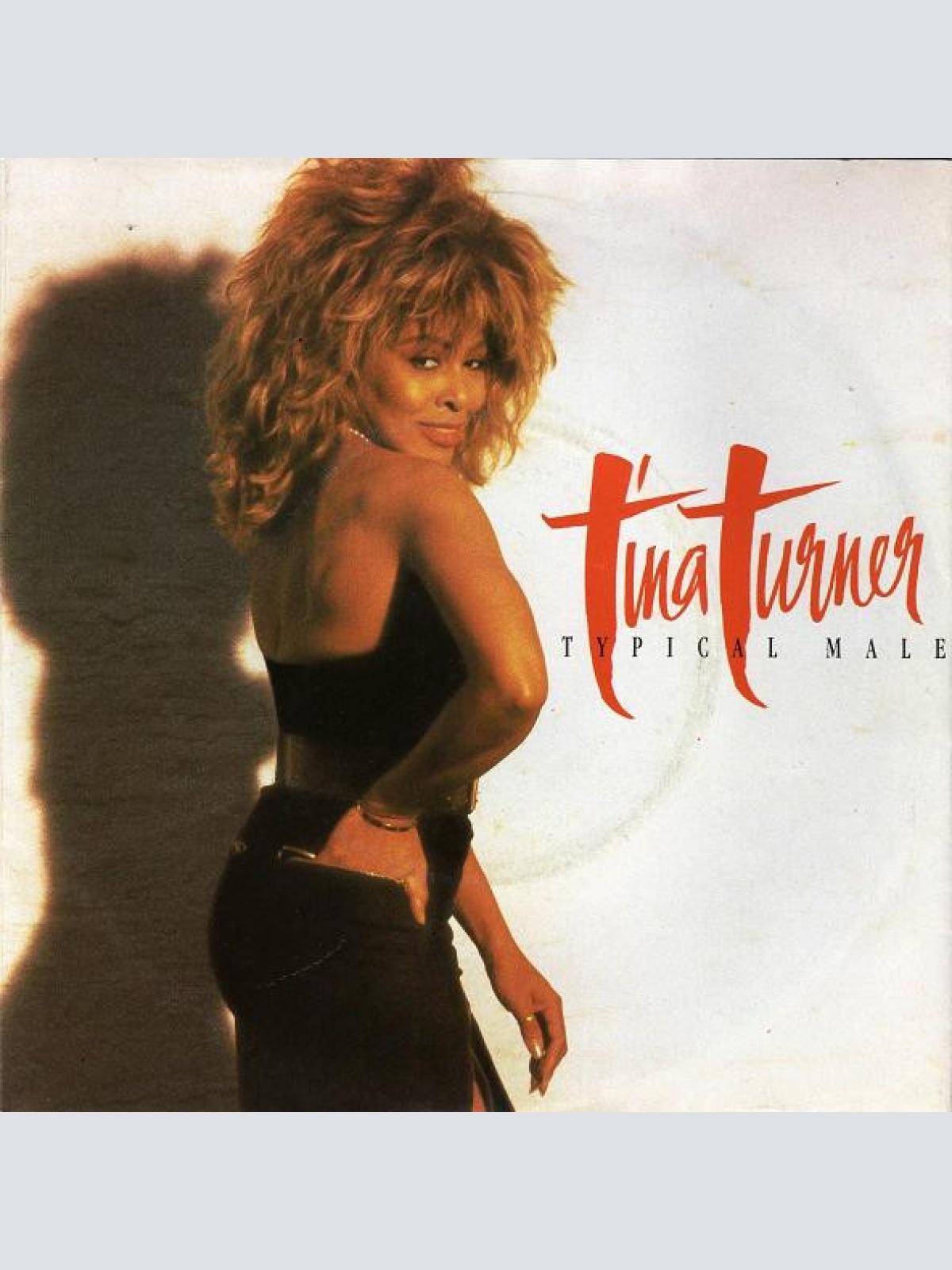 Vinyl / Tina Turner - Typical Male