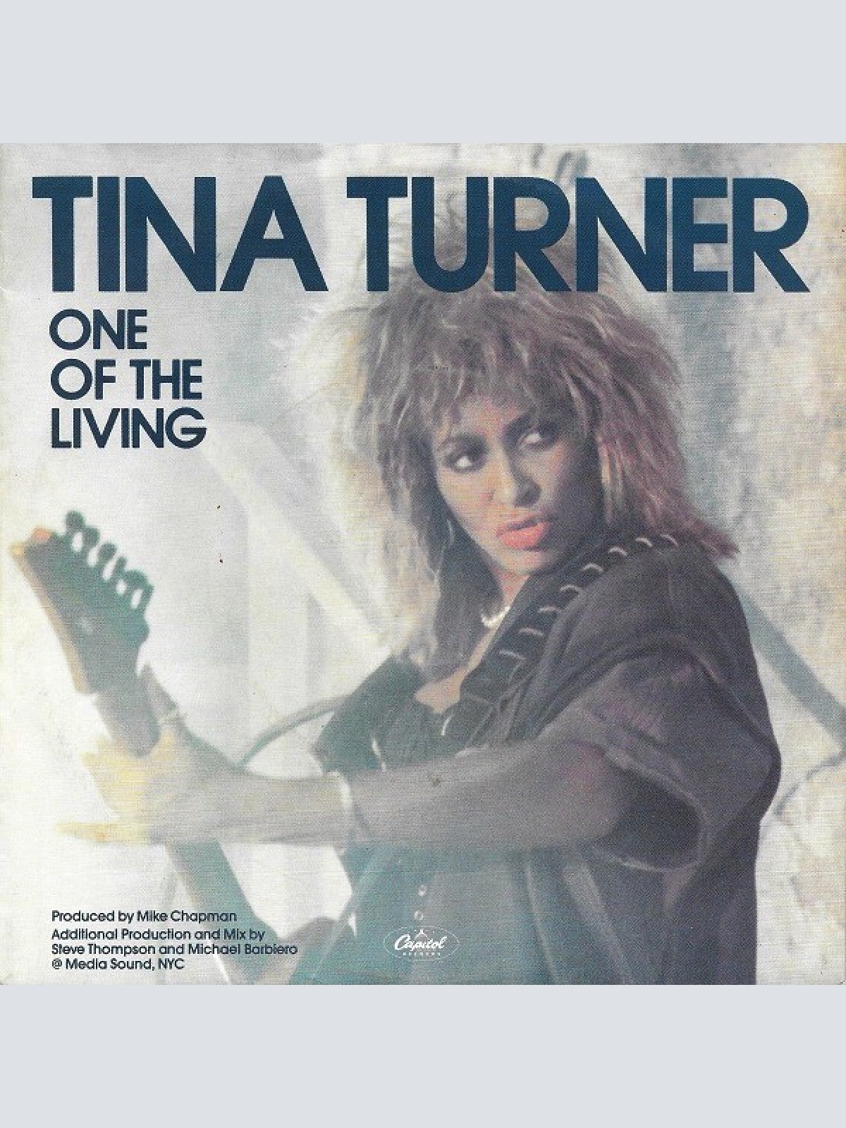 Vinyl / Tina Turner - One Of The Living