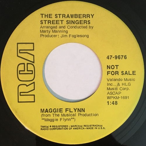 Vinyl / The Strawberry Street Singers - Maggie Flynn