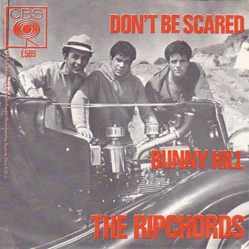 Vinyl / The Ripchords* - Don't Be Scared