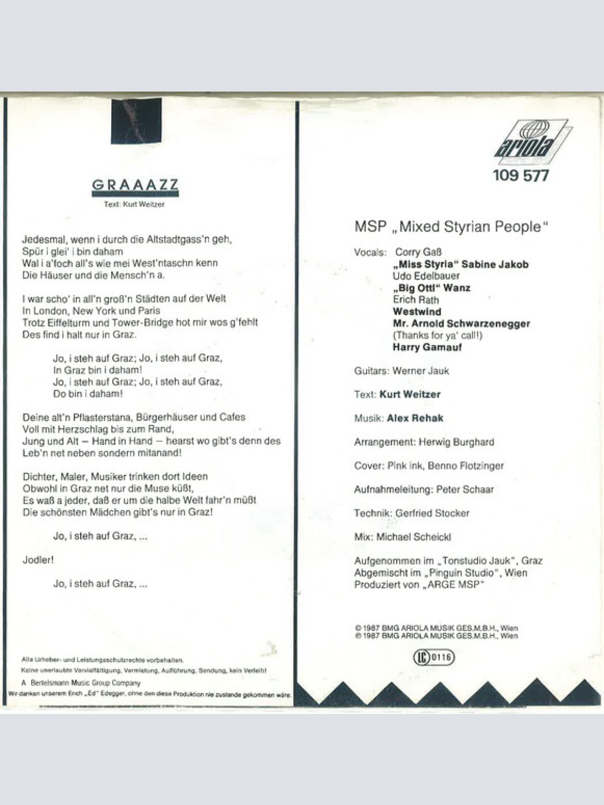 Vinyl / MSP – Mixed Styrian People* - Graaazz