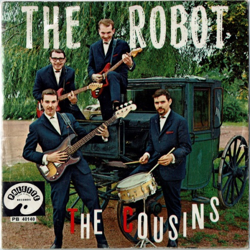 Vinyl / The Cousins - The Robot