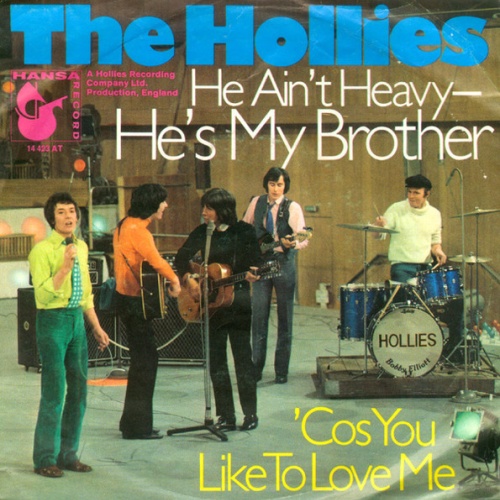 Vinyl / The Hollies - He Ain't Heavy - He's My Brother