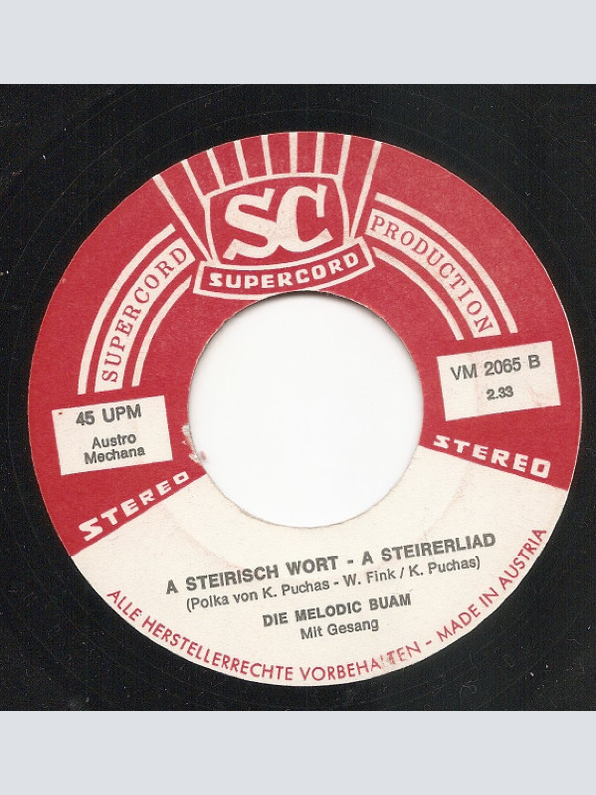 Vinyl / Die Melodic Buam - Schürzenjaga