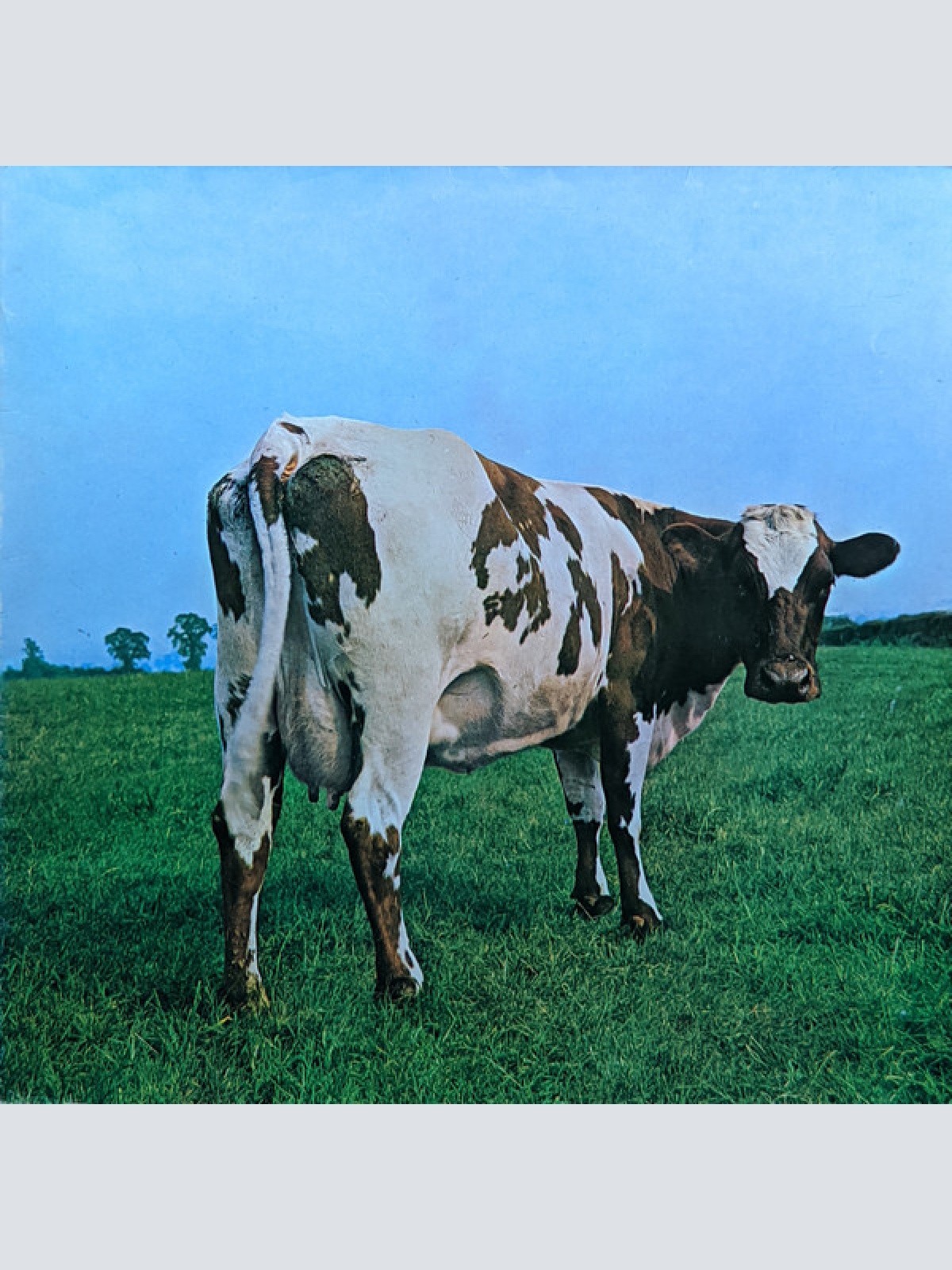 Vinyl / Pink Floyd - Atom Heart Mother